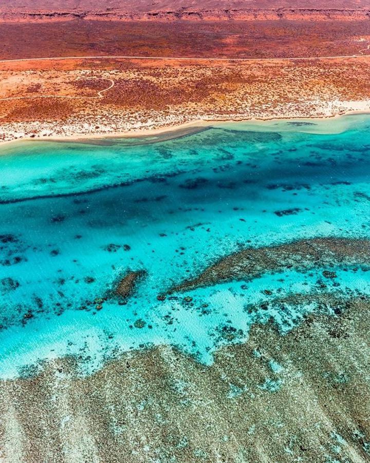 Ningaloo Lodge אקסמות' מראה חיצוני תמונה